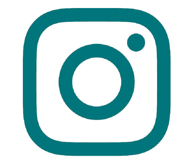 Social Media Icons Insta